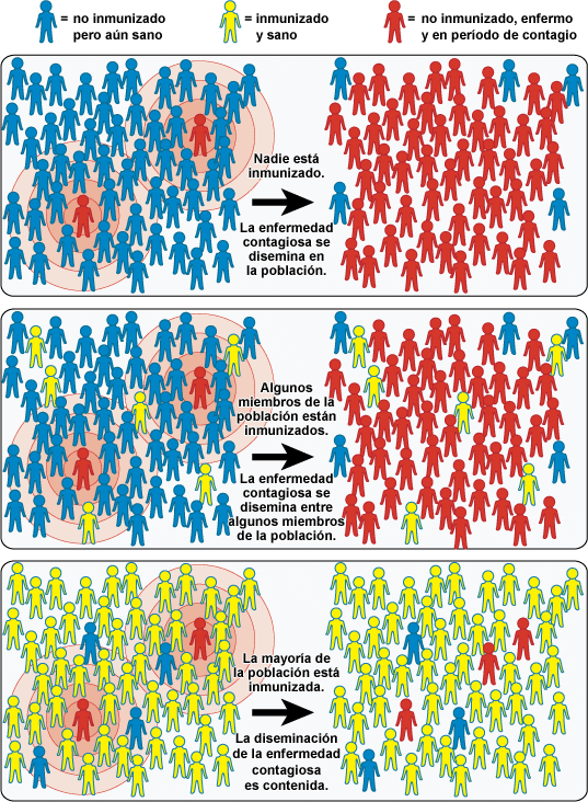 Acciones para promover la salud la vacunación en México info