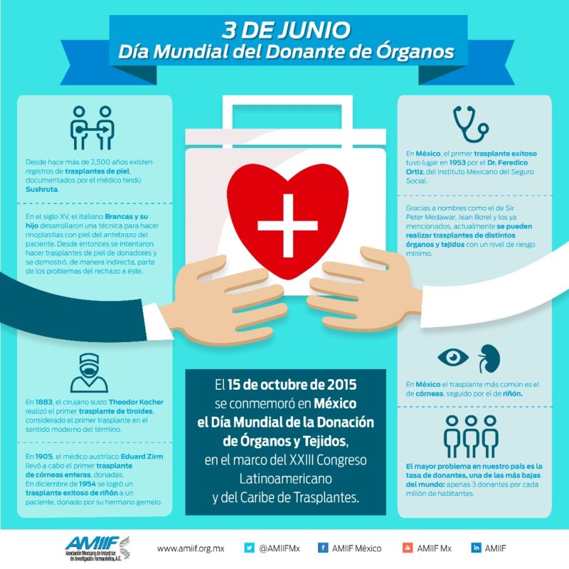 Día Mundial del Donante de Órganos info