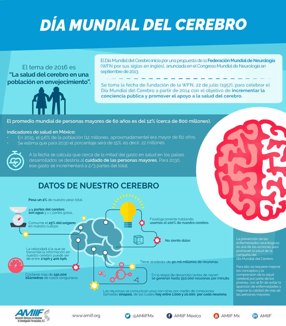 Noticias de Salud en México Día Mundial del Cerebro info