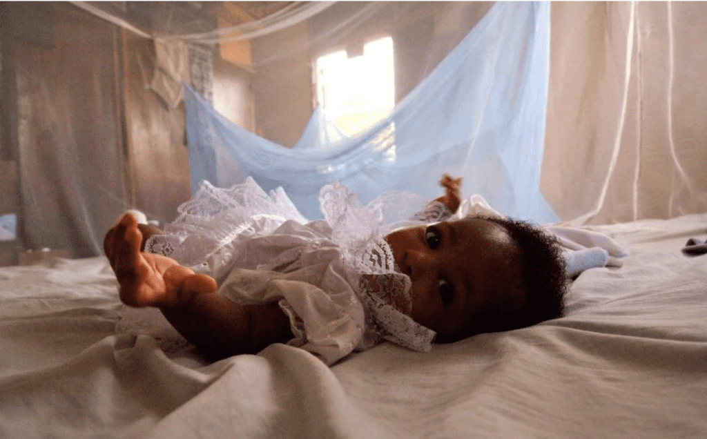 malaria
