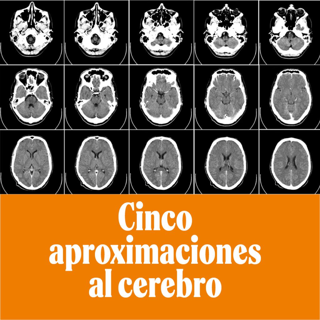 Cinco aproximaciones al cerebro