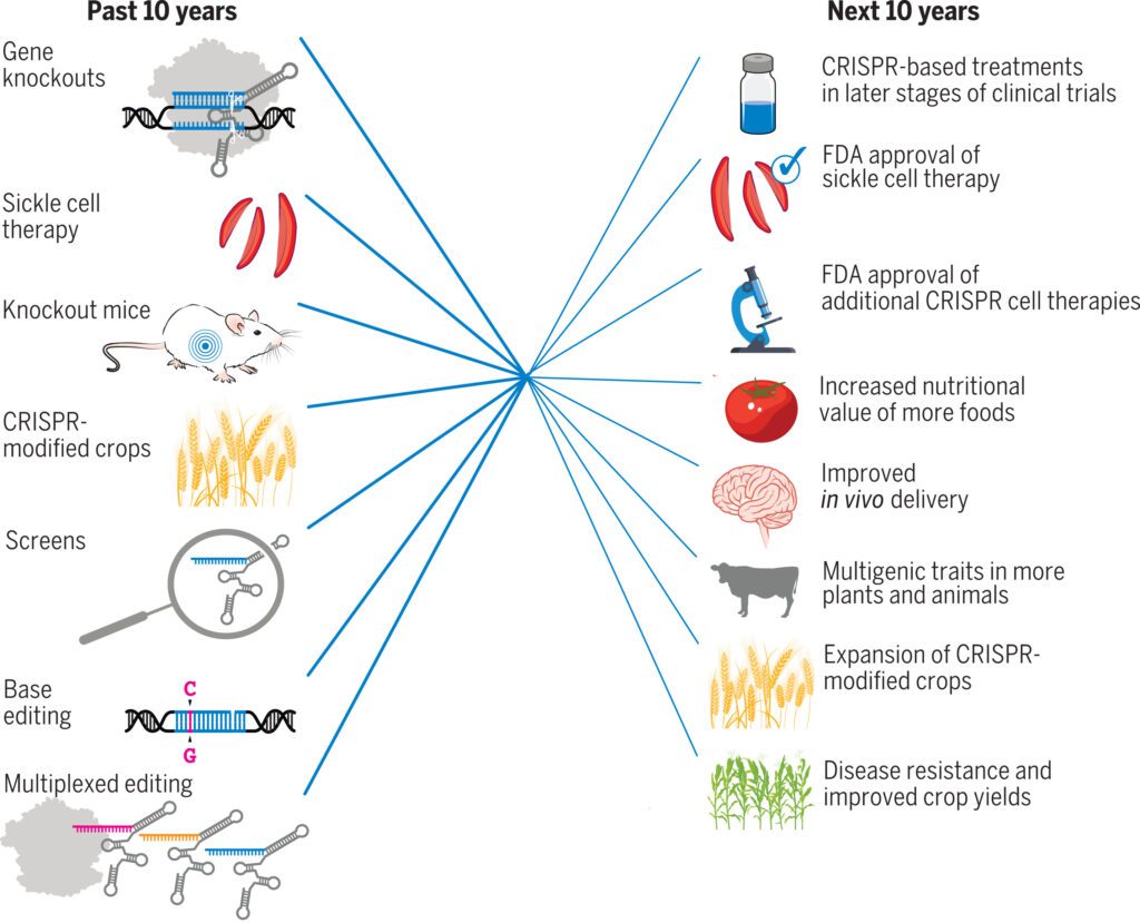 tecnología CRISPR